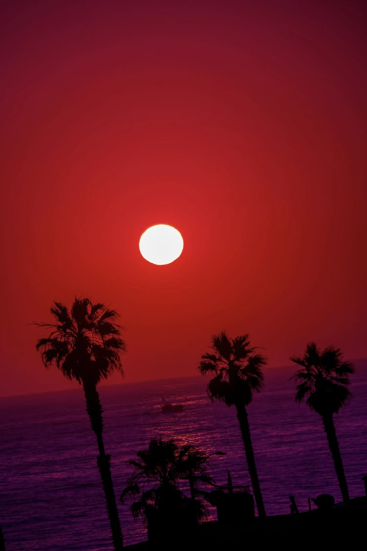 Californication
