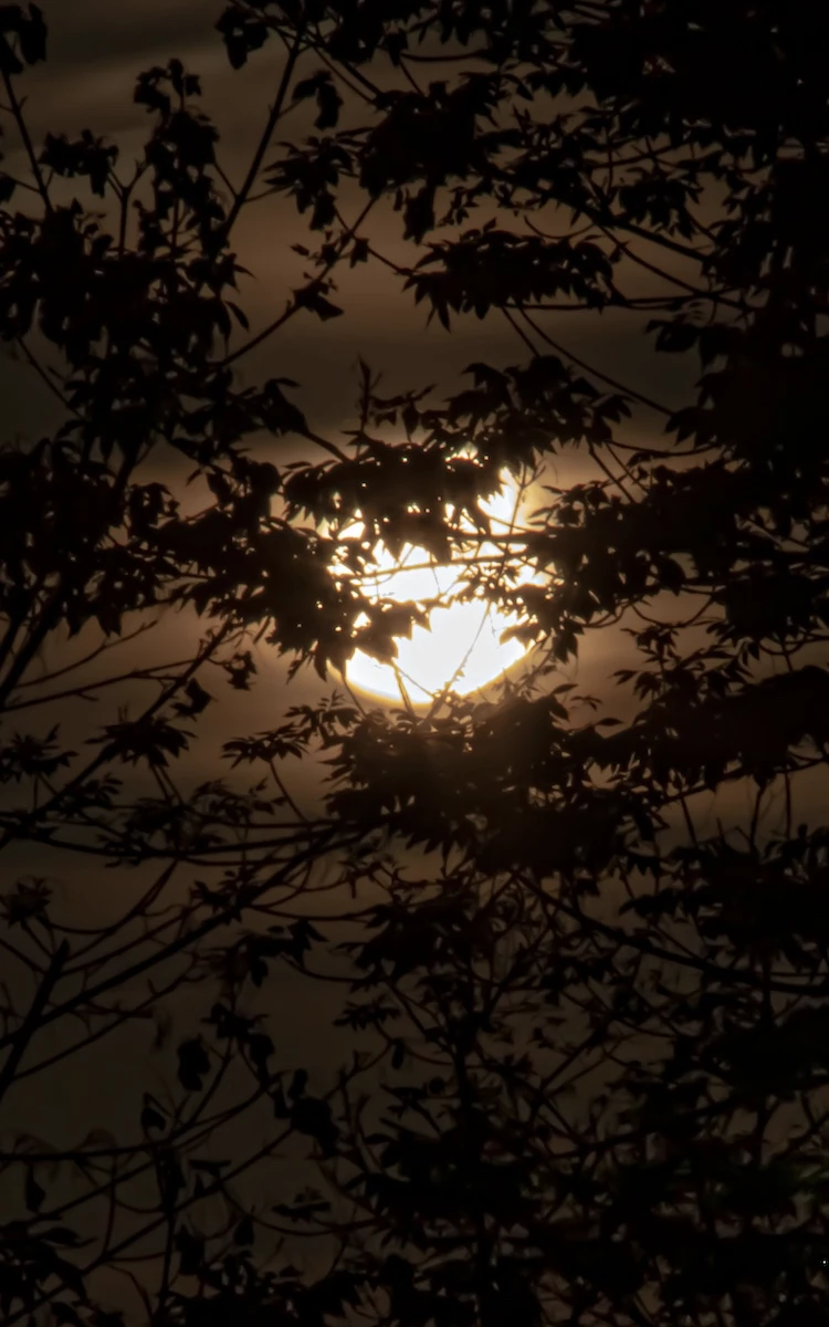 It Was a Dark And...