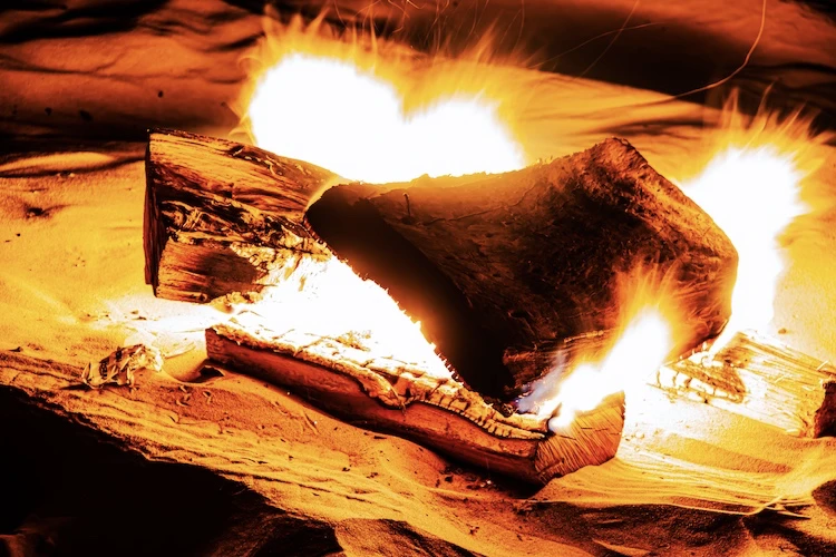 Lost in the Fire