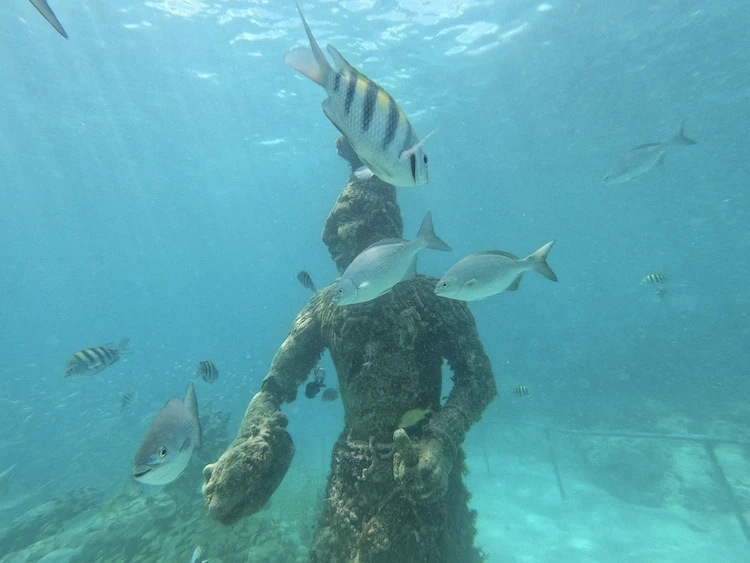 Man Underwater