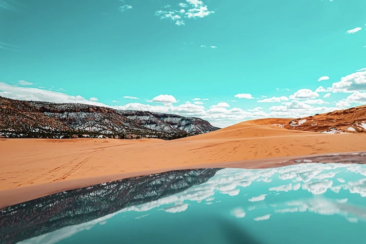 Reflections