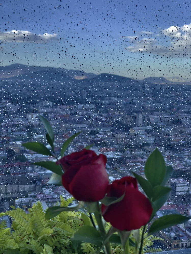 Smell the Roses