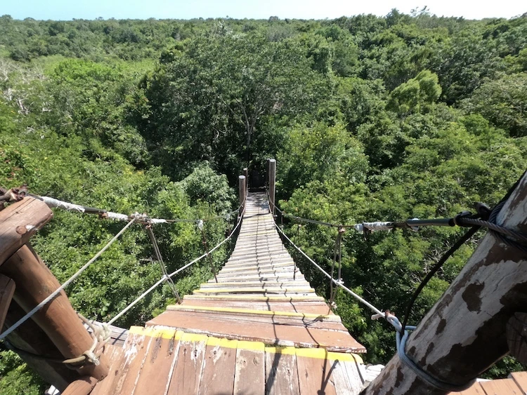 Wooden Bridges